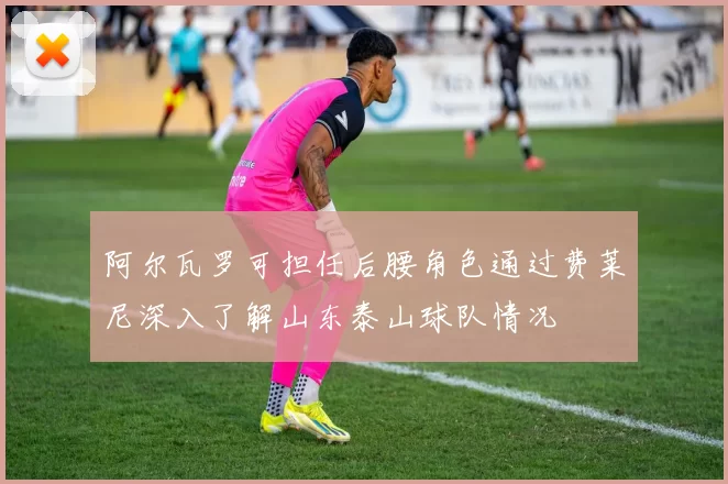 阿尔瓦罗可担任后腰角色通过费莱尼深入了解山东泰山球队情况